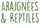Bullyland Araignées et reptiles