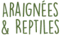 Logo Bullyland Araignées et reptiles