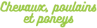 Papo Chevaux, poulains et poneys