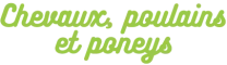 Logo Papo Chevaux, poulains et poneys