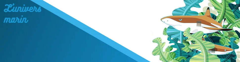 Papo L&#039;univers marin 56064 Gorfou doré 