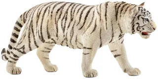 Tigre blanc mâle