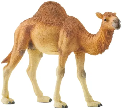 Schleich Wild Life 14832 : Dromadaire