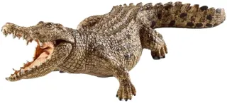 Crocodile