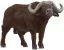 Schleich Wild Life 14872 : Buffle d’Afrique