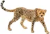 Schleich Wild Life 14746 : Guépard femelle
