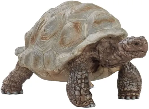 Schleich Wild Life 14824 : Tortue géante