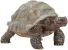 Schleich Wild Life 14824 : Tortue géante