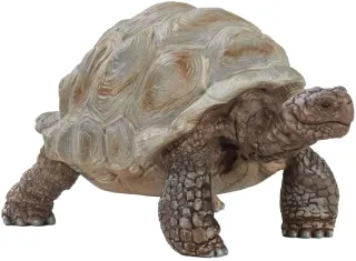 Tortue géante