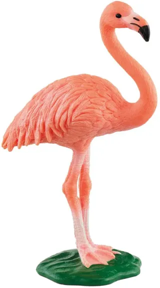 Flamant rose