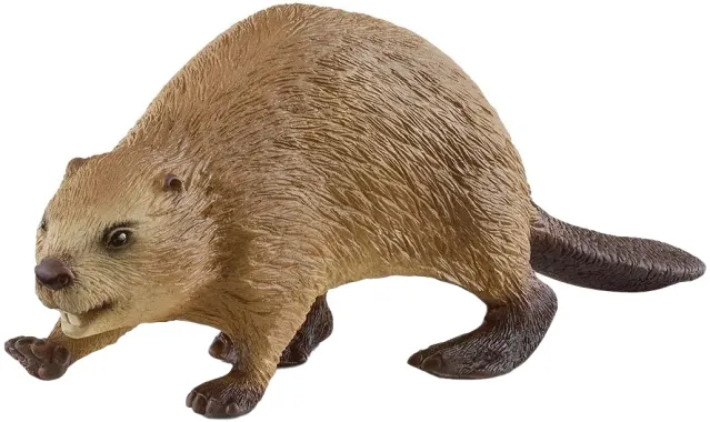 Schleich Wild Life 14855 : Castor