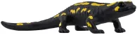 Schleich Wild Life 14870 : Salamandre tachetée