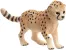Schleich Wild Life 14866 : Bébé Guépard
