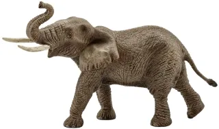 Éléphant d&#039;Afrique mâle