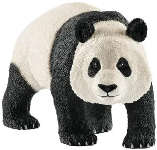 Panda géant, mâle