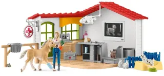 Clinique vétérinaire avec animaux domestiques