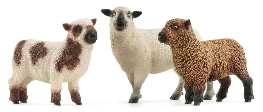 Schleich Farm World 42660 : Trio de moutons