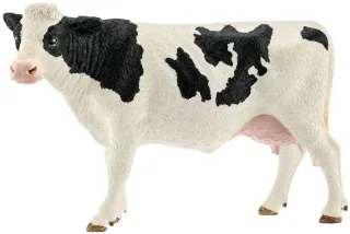 Vache Holstein