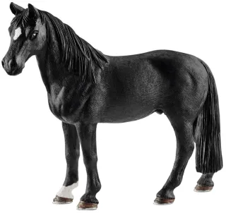 Hongre Tennessee Walker