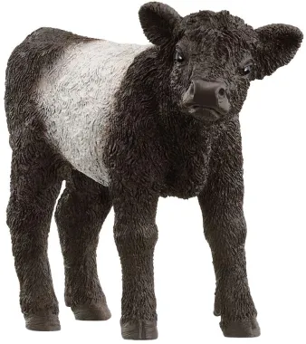 Schleich Farm World 13969 : Veau Galloway