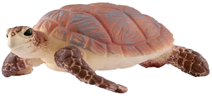 Schleich Wild Life 14944 : Tortue de mer (circular)