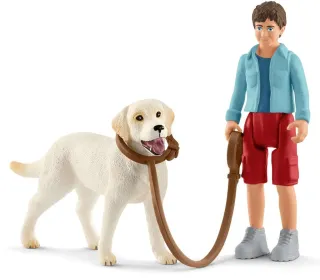 Promenade avec le labrador