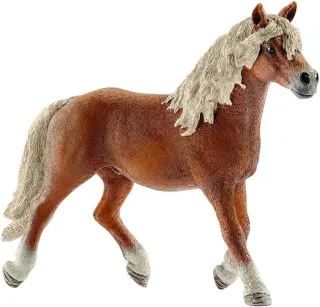 Étalon Haflinger