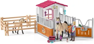 Box avec Chevaux Arabes et soigneuse de chevaux