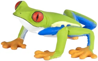 Rainette aux yeux rouges