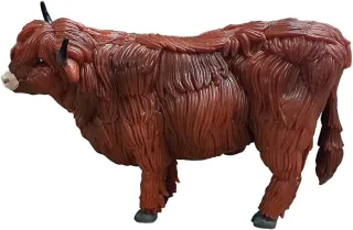 Bovins écossais des Highlands