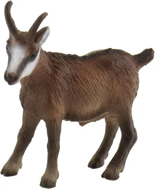 Chamois