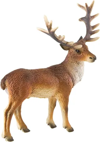 Cerf élaphe