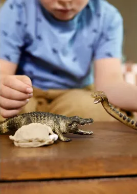 Schleich Wild Life 42625 : Duel Alligator / Anaconda (National Geographic)