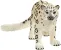 Schleich Wild Life 14838 : Léopard des neiges