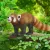 Schleich Wild Life 14833 : Panda Roux