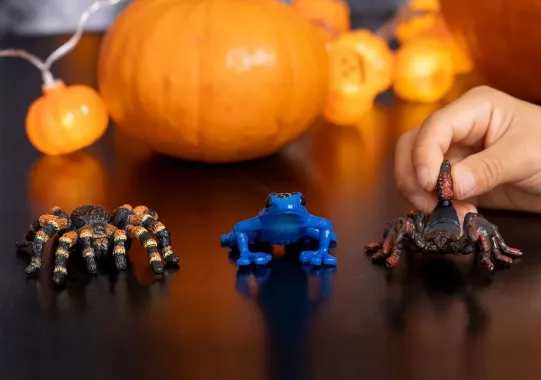 Schleich Wild Life 14829 : Mygale