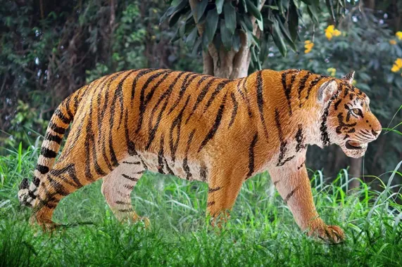 Schleich Wild Life 14729 : Tigre du Bengale mâle
