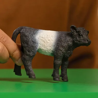 Schleich Farm World 13969 : Veau Galloway