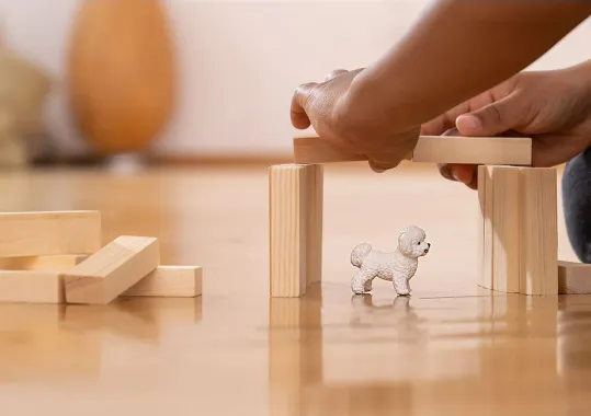 Schleich Farm World 13963 : Bichon Frisé