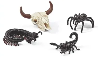 Kit Vallée de la mort