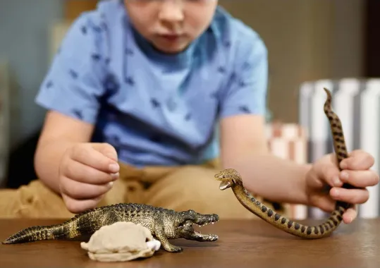 Schleich Wild Life 42625 : Duel Alligator / Anaconda (National Geographic)