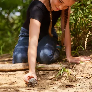 Schleich Wild Life 14824 : Tortue géante