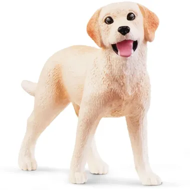 Schleich Farm World 42578 : Aventures d&#039;équitation Western