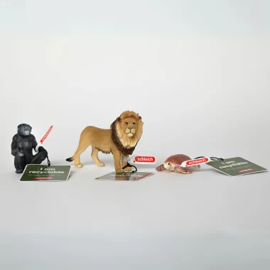 Schleich Wild Life 14944 : Tortue de mer (circular)