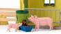 Schleich Farm World 42605 : Ferme éducative