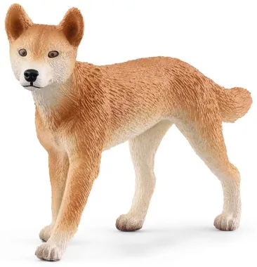 Schleich Wild Life 42623 : Aventures en Océanie (National Geographic)