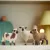 Schleich Farm World 42660 : Trio de moutons