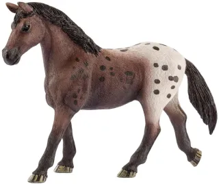 Jument Appaloosa