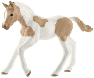 Poulain Paint Horse