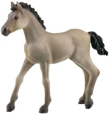Schleich Horse Club 13949 : Poulain Criollo Definitivo